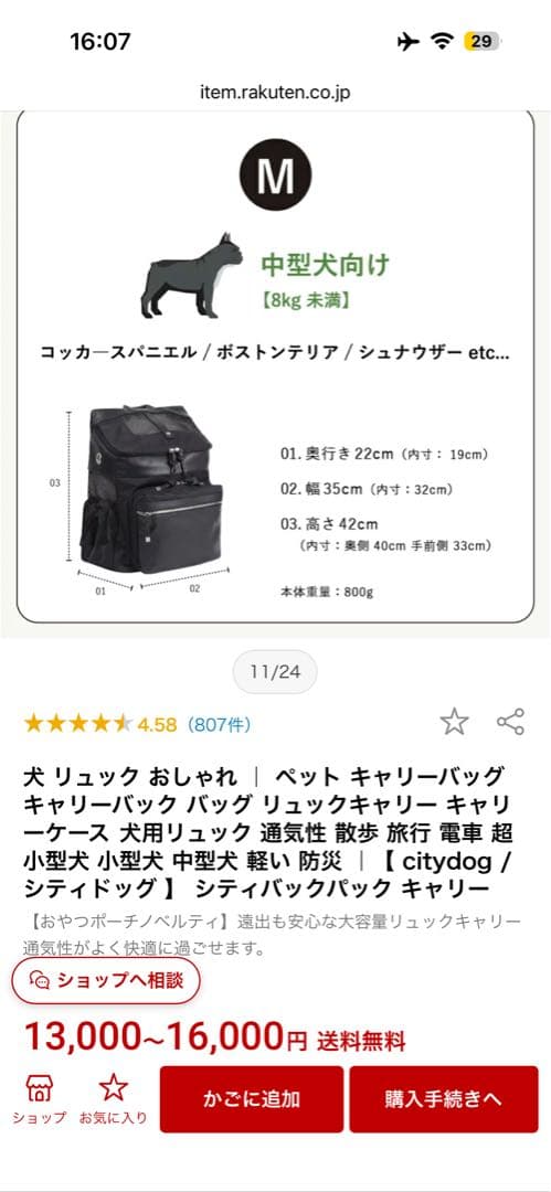 リュック型キャリーバッグ　シティバックパックキャリー