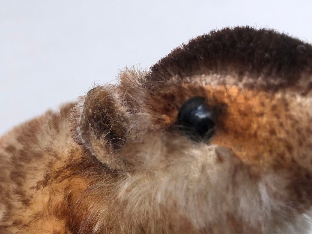 Steiff　マーモットのMurmy