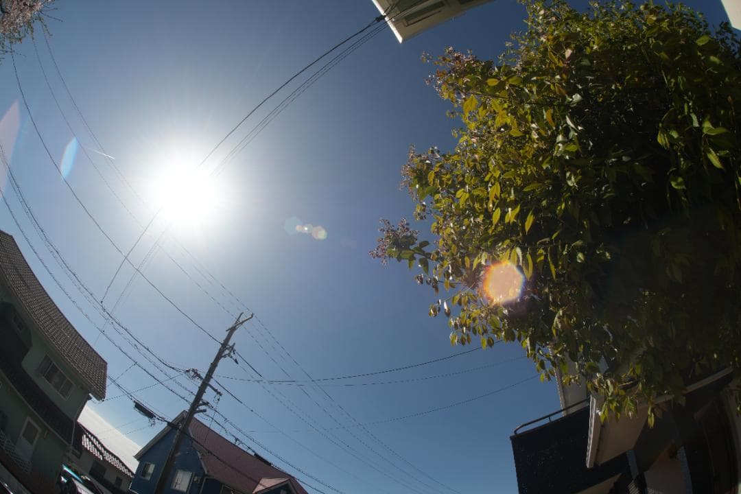 フィルムカメラ MINOLTA MC FISH-EYE ROKKOR-OK 16mm F2.8