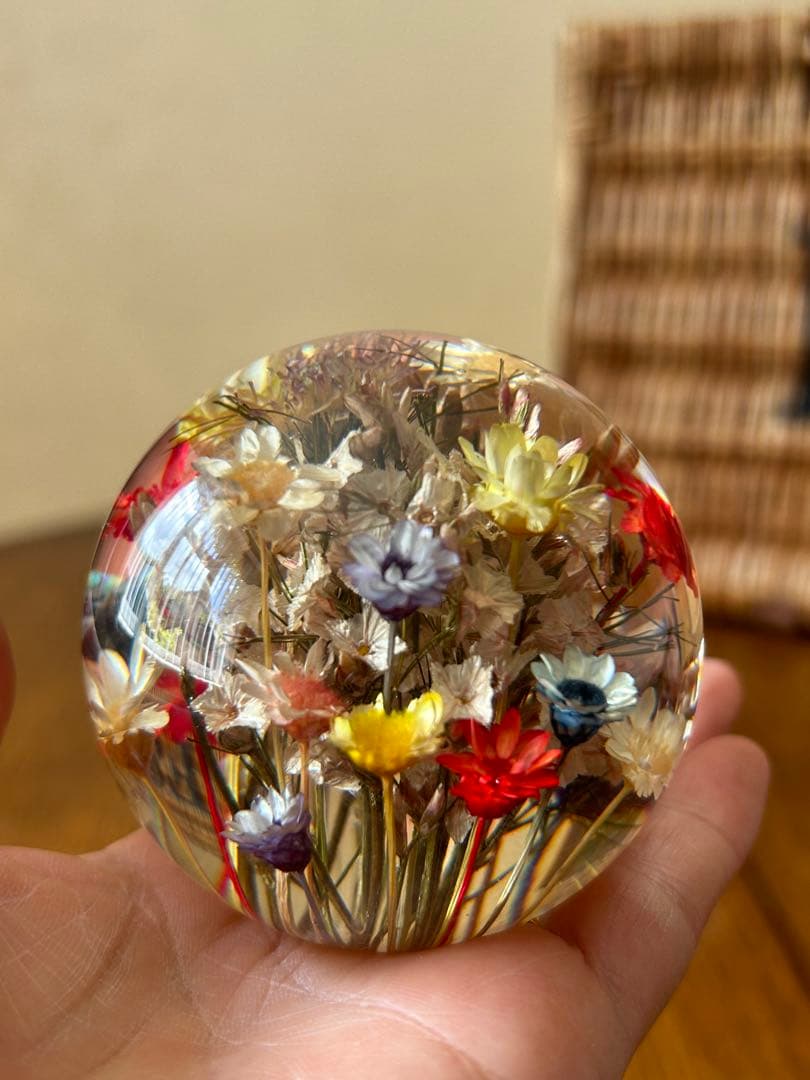 1997年　ハフォドグレンジ ◆ ウェールズで育った本物のお花のペイパーウェイト