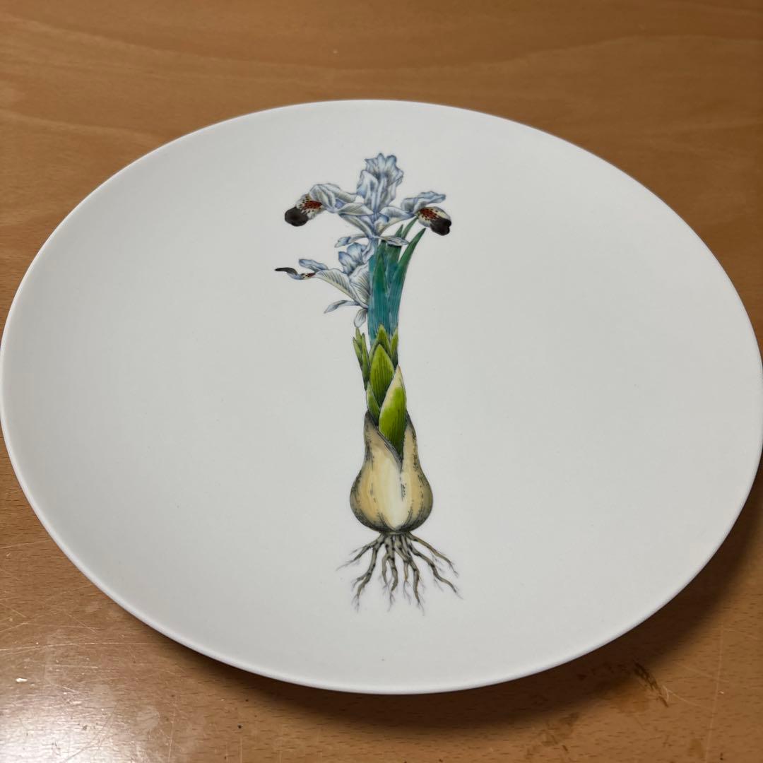 花と根のイラスト皿 直径25cm