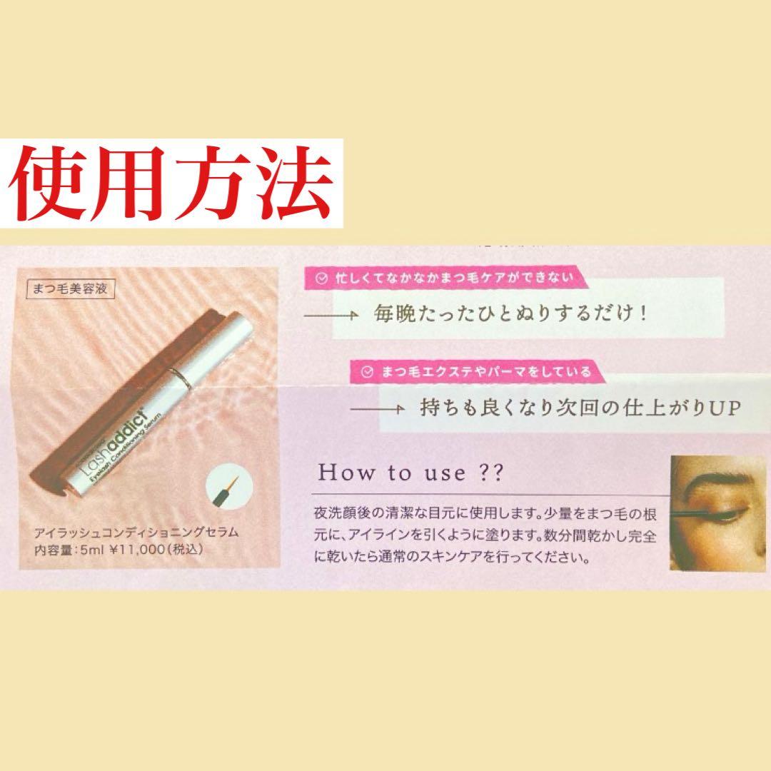 【トトロ　リピート割】
