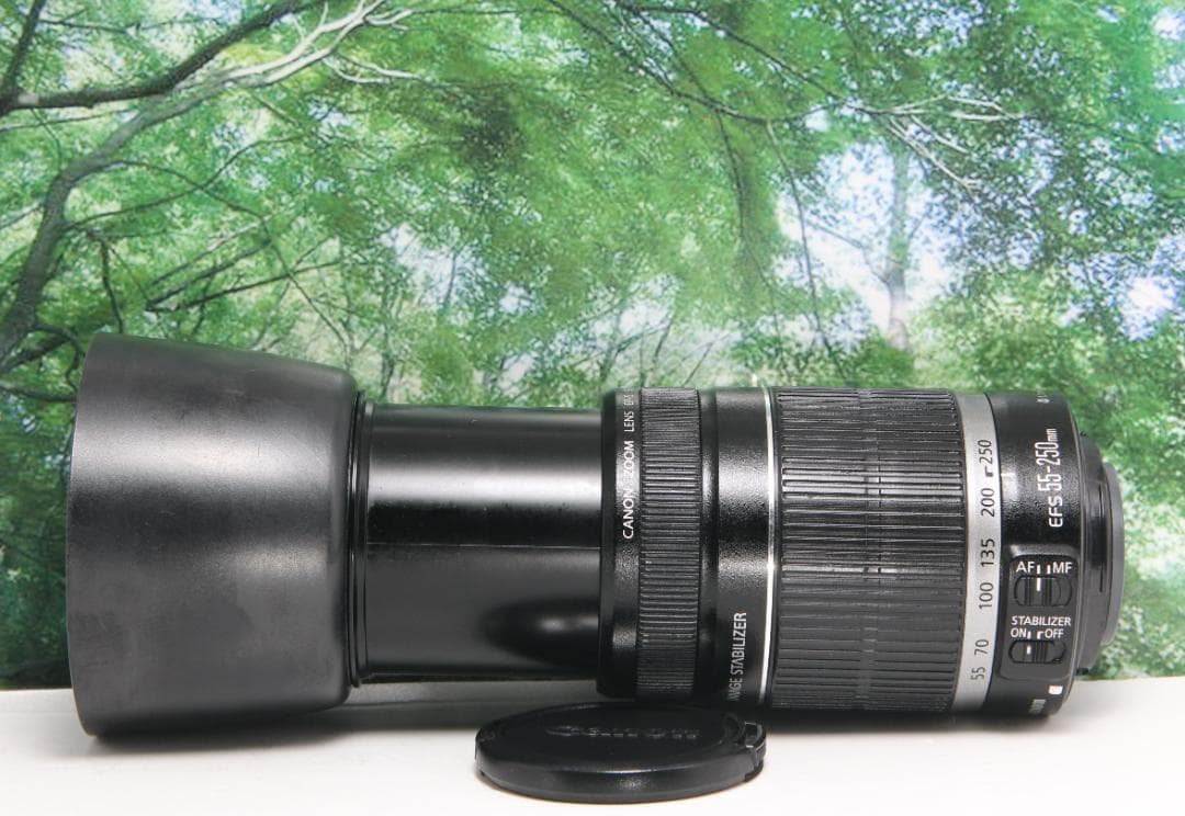❤️手ぶれ補正で遠くが超綺麗✴️ Canon 55-250mm IS❤️