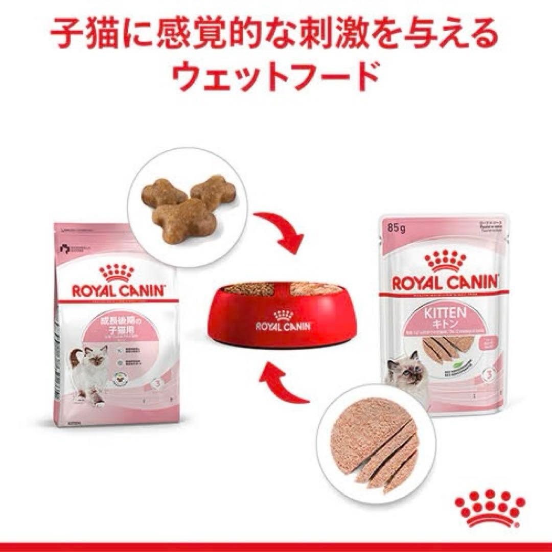 子猫用ウェットフード