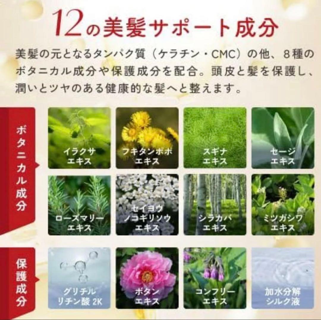M amip　ドクターヘアミカ　11本セット　ダークブラウン　白髪染め