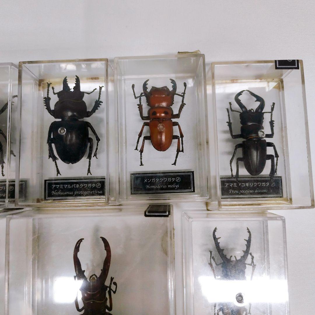 ディアゴスティーニ　世界の昆虫　フィギュア49点まとめ売り