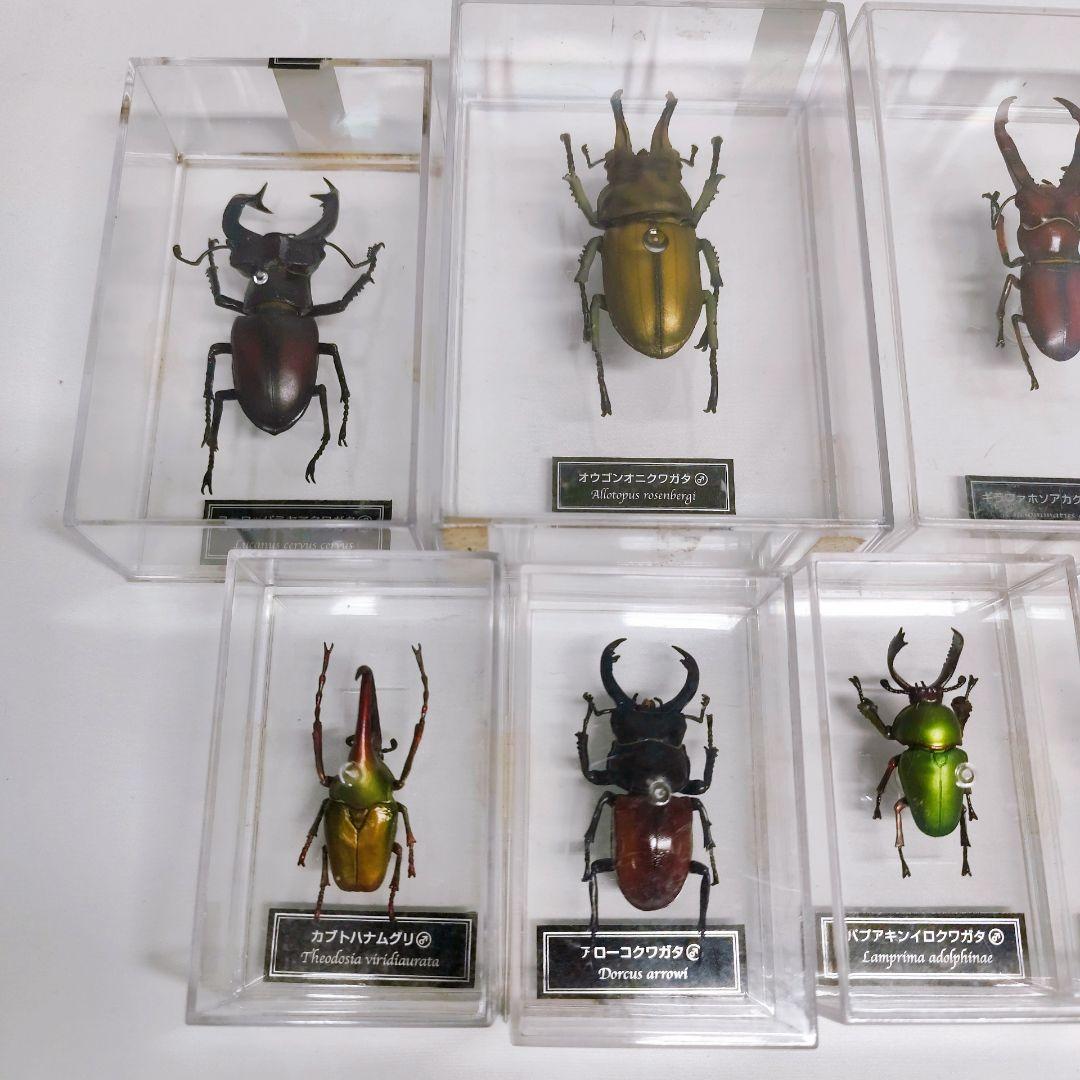 ディアゴスティーニ　世界の昆虫　フィギュア49点まとめ売り