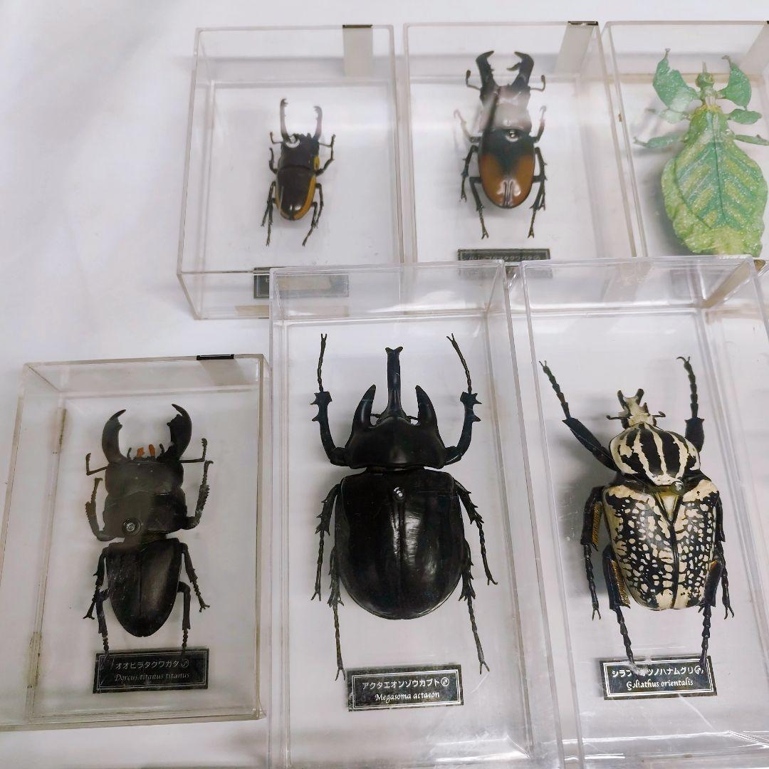 ディアゴスティーニ　世界の昆虫　フィギュア49点まとめ売り