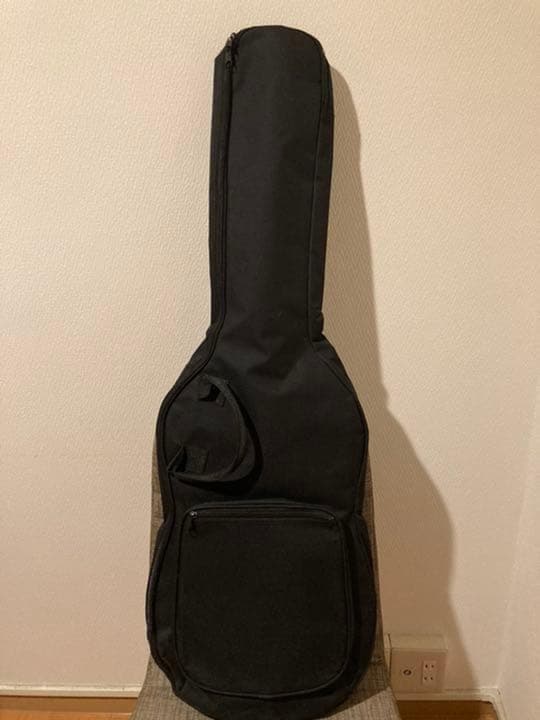 SCHECTER N-PT-AS シェクター
