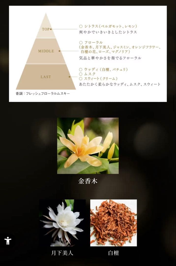 コスメデコルテ エターナルエレガンスボックス 2025 コフレ 香水のみ