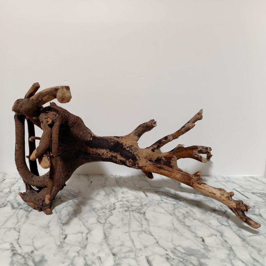 アク抜き済み流木【127】