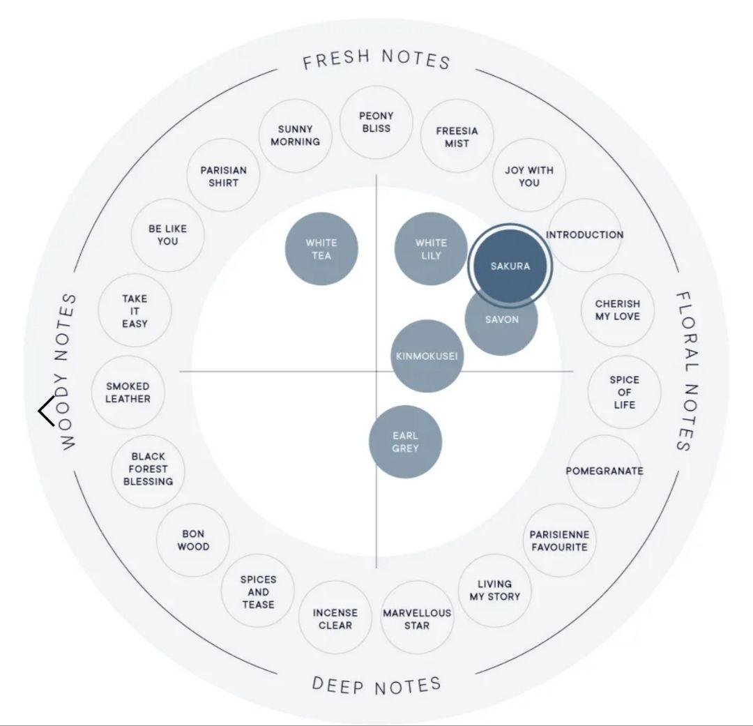 SHIRO 2026 さくら ハンド美容液　SAKURA HAND SERUM