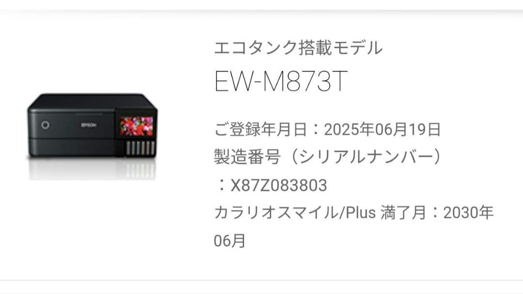 EPSON EW-M873T カラリオスマイルplus付き
