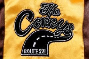 ペットウェア CONNY'S サテンジャンバー ワンダラーズモデル Lサイズ