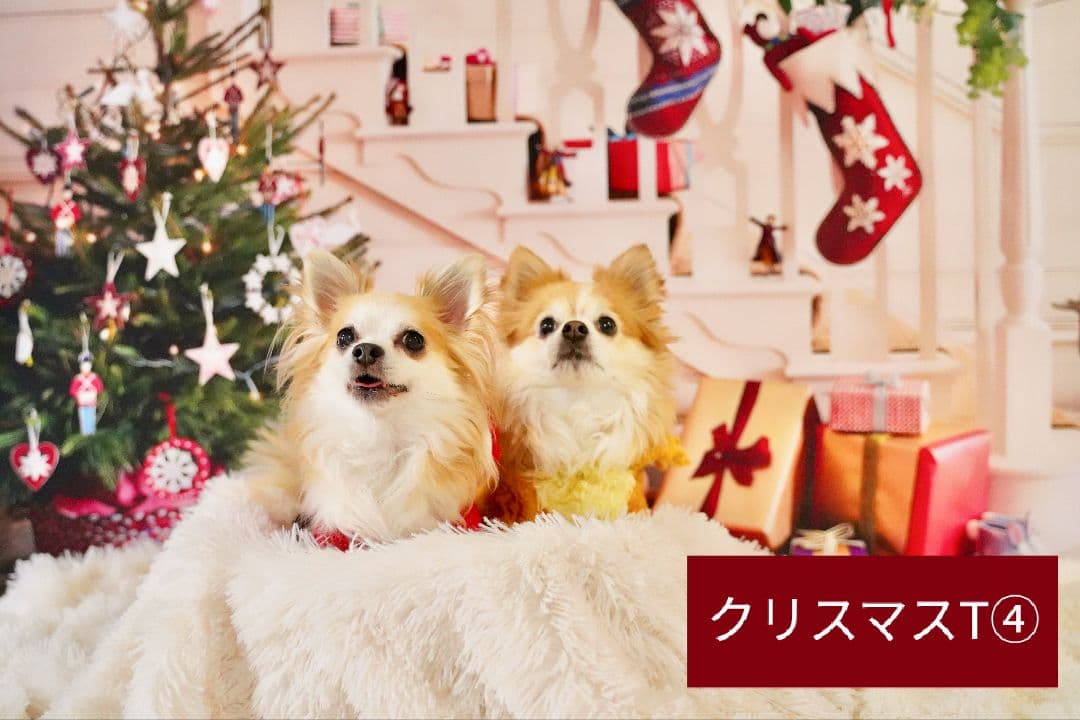 背景布+トリミングチョーカーリボン　50個　どんぐり　松ぼっくり　秋　紅葉