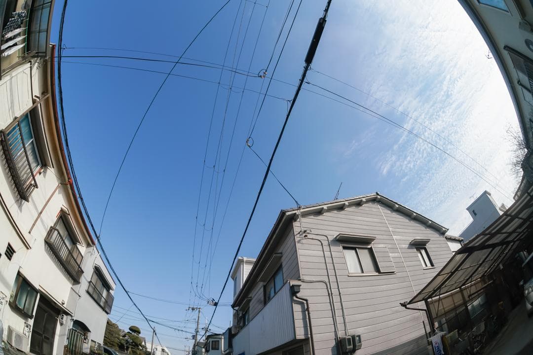 Nikon Ai-S Fisheye NIKKOR 16mm F2.8 魚眼
