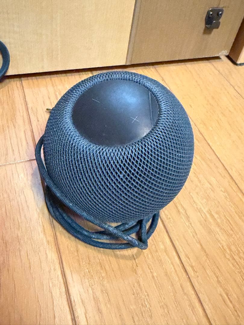 Apple Pod & Pod mini セット
