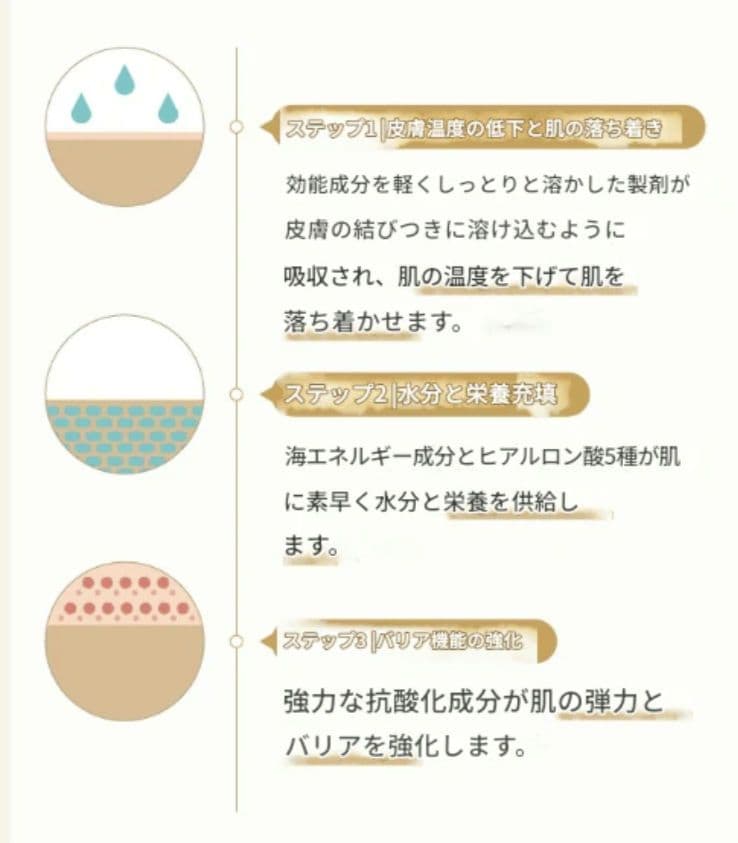 ホリチュアル　コンセレートシネグチャークリームライト15ml×11個