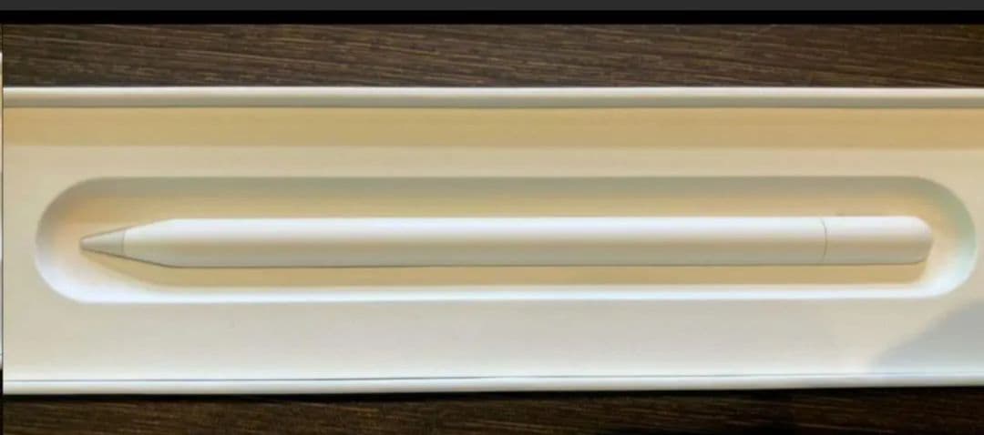 Apple Pencil type-C カバー付き