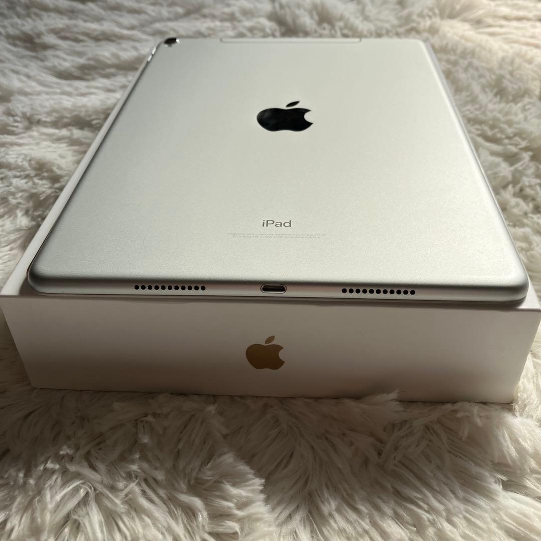 【早い者勝ち】iPad Pro 10.5 256GB 付属品多数！ 【すぐ発送】