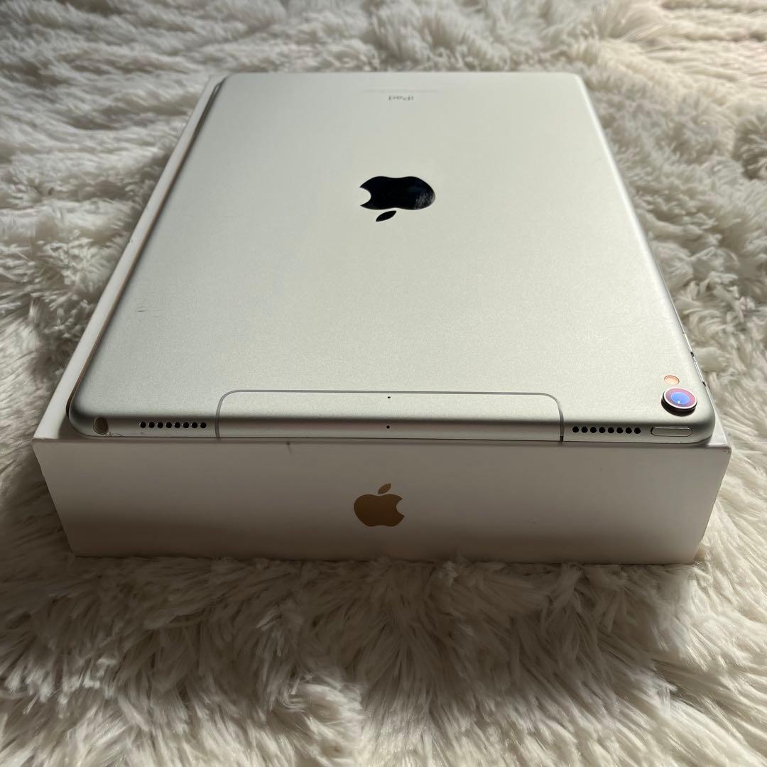 【早い者勝ち】iPad Pro 10.5 256GB 付属品多数！ 【すぐ発送】