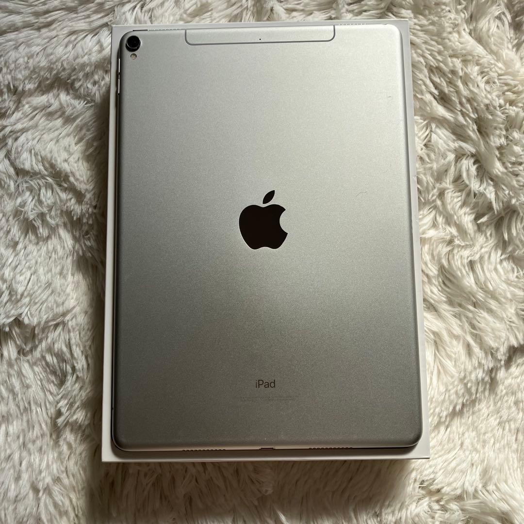 【早い者勝ち】iPad Pro 10.5 256GB 付属品多数！ 【すぐ発送】