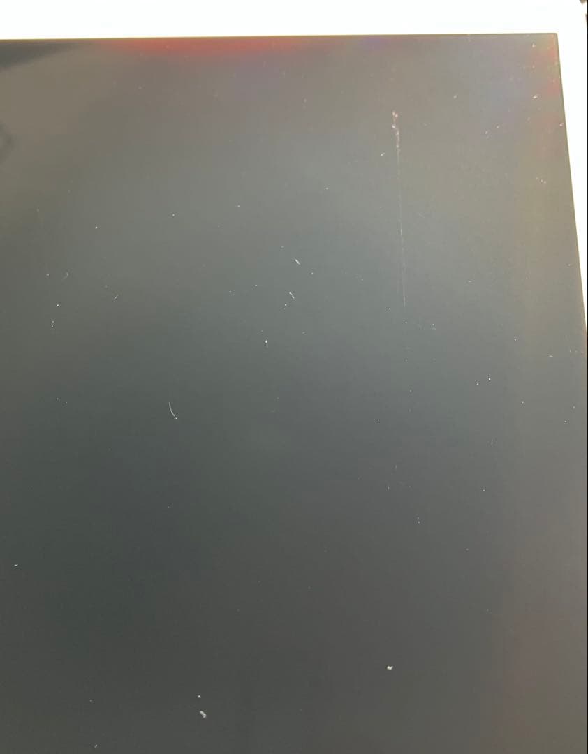 【早い者勝ち】iPad Pro 10.5 256GB 付属品多数！ 【すぐ発送】