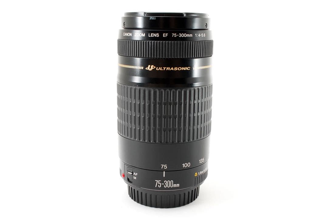 【フード付き】人気の望遠レンズ　キヤノン　Canon EF75-300㎜
