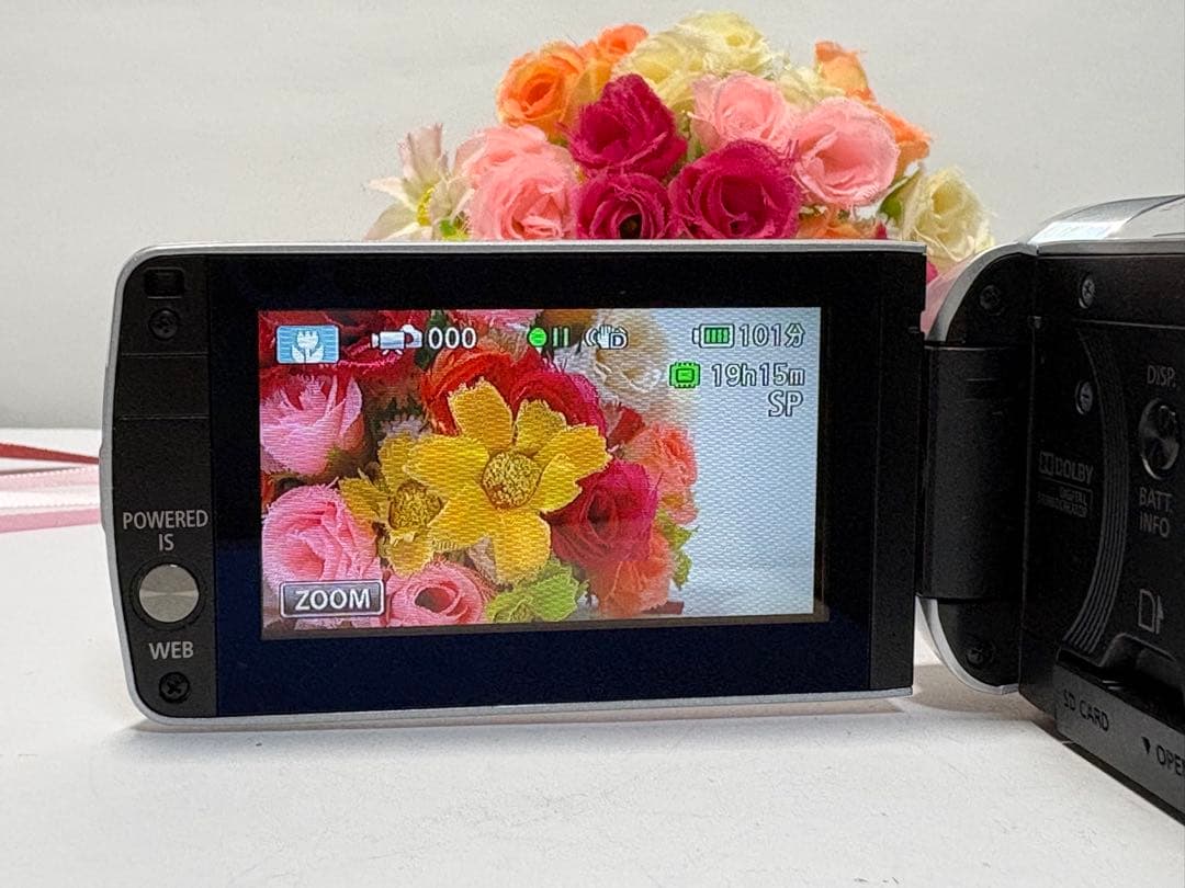 Canon IVIS HF M32 ビデオカメラ 本体　動作確認済