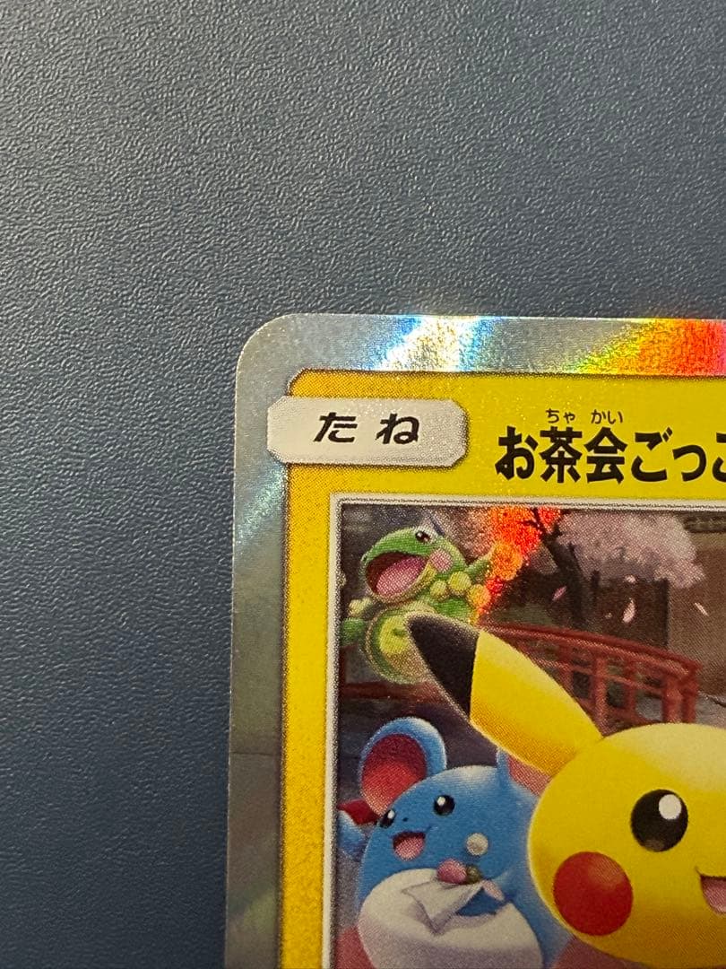 d*7様 お茶会ごっこピカチュウ 325/SM-P