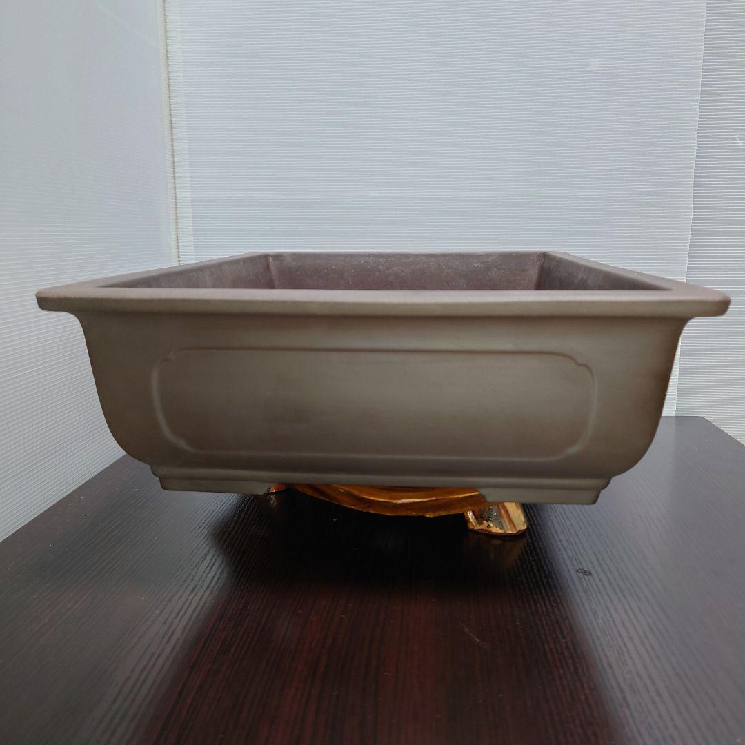15号 大型 特大 盆栽鉢 山源 とこなめ 落款 bonsai 寄せ植え 植木鉢