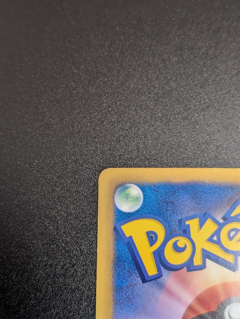 ポケモンカード シャワーズ 184/BW-P プロモ コレクションファイル