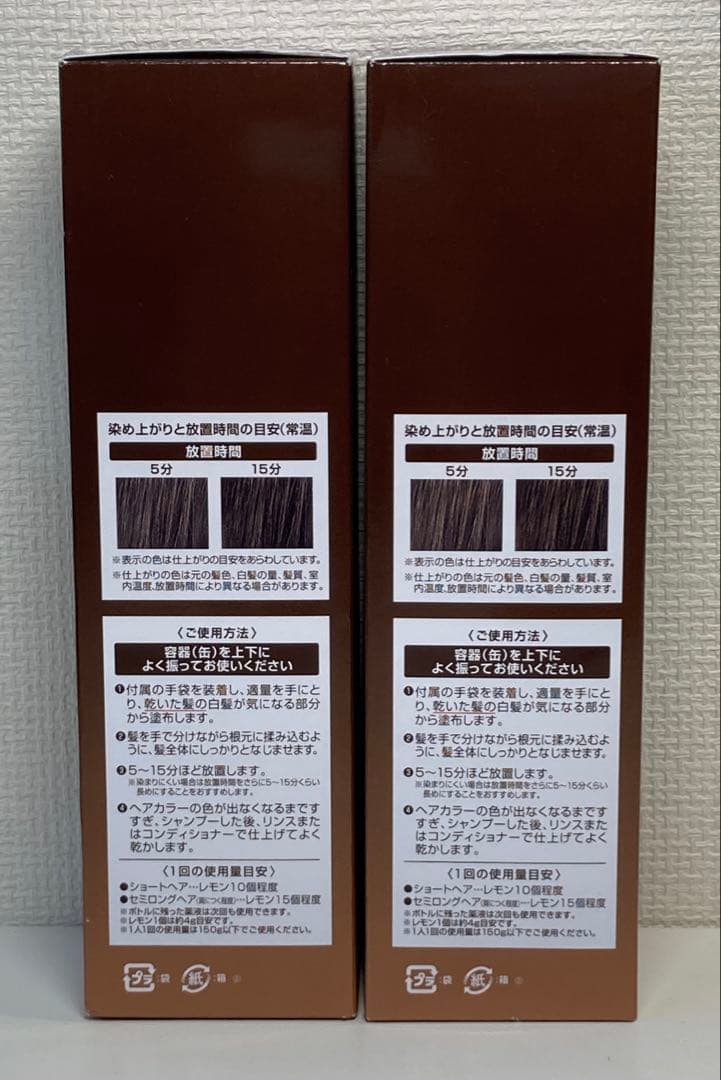 ヘアボーテエクラ ボタニカル エアカラーフォーム ダークブラウン 150g 2本