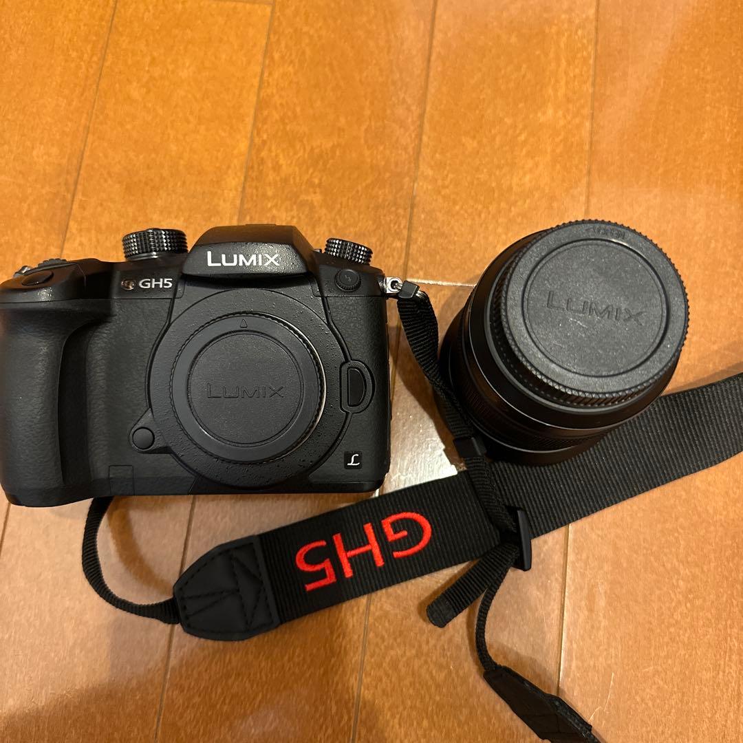 Panasonic GH-5M, H-FS12060 セット