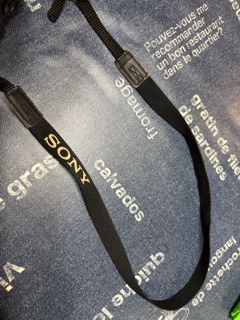 SONY Cyber-Shot DSC-HX300 動作品【本体のみ】