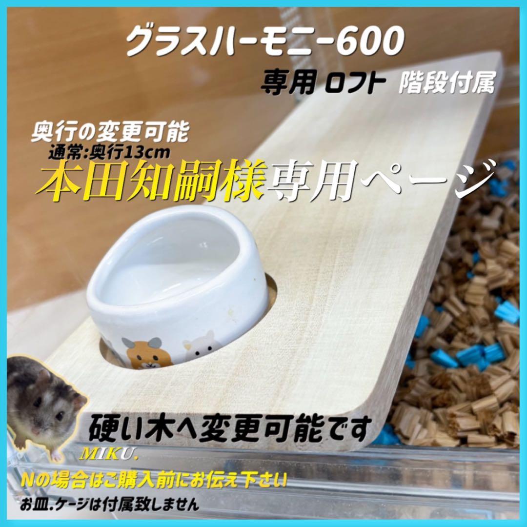 本田知嗣オーダーページ グラスハーモニー600専用ロフト 階段付属