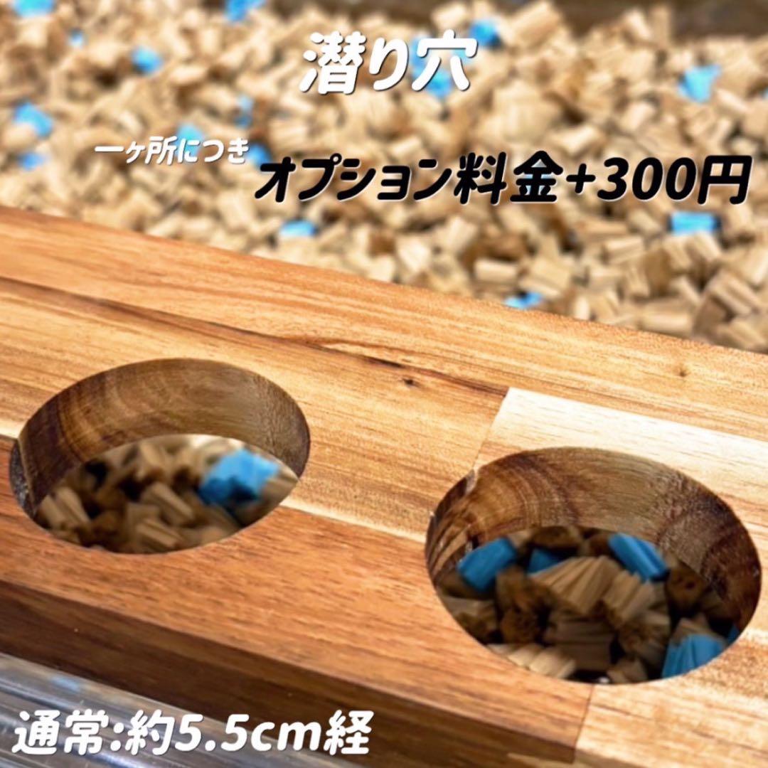 本田知嗣オーダーページ グラスハーモニー600専用ロフト 階段付属