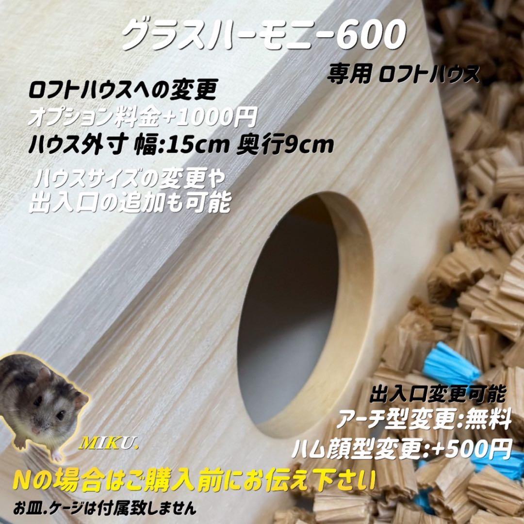 本田知嗣オーダーページ グラスハーモニー600専用ロフト 階段付属