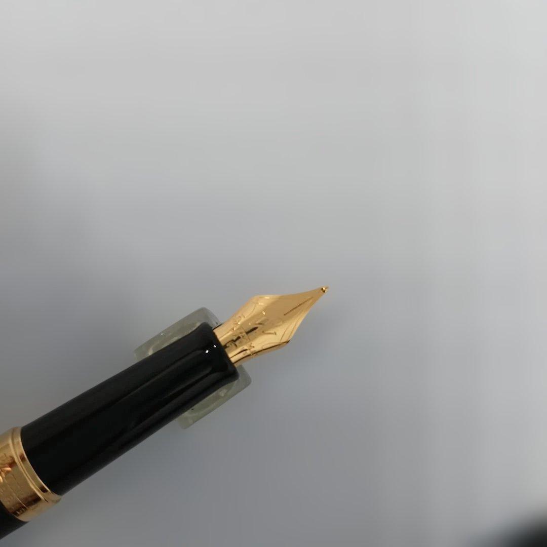 Waterman マットブラック 万年筆 F細字
