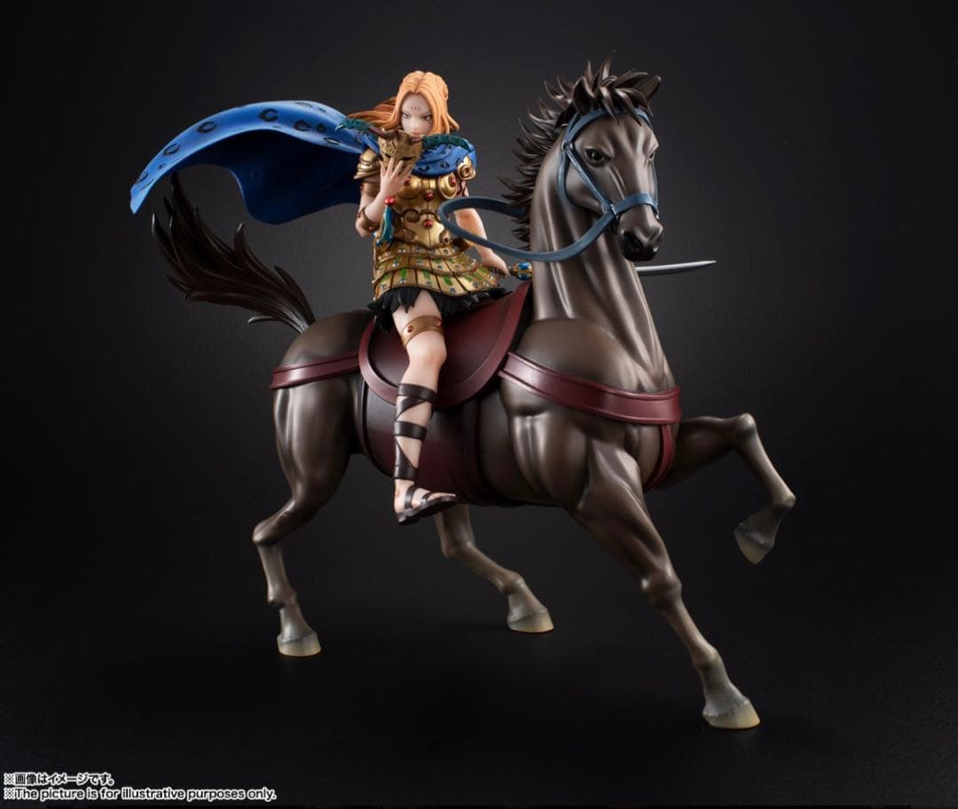 キングダム　フィギュアーツZERO 楊端和 フィギュア