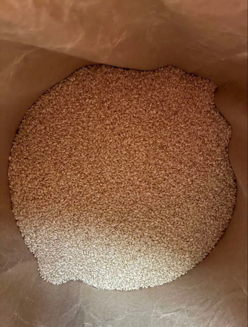 古古米（飼料用）2023年産 玄米 約24.5kg