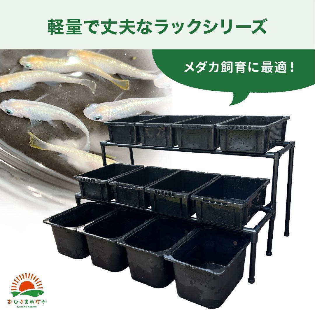 ★メダカ飼育ラック　黒1段8個置き★ めだか飼育棚 NVBOXビオトープsj