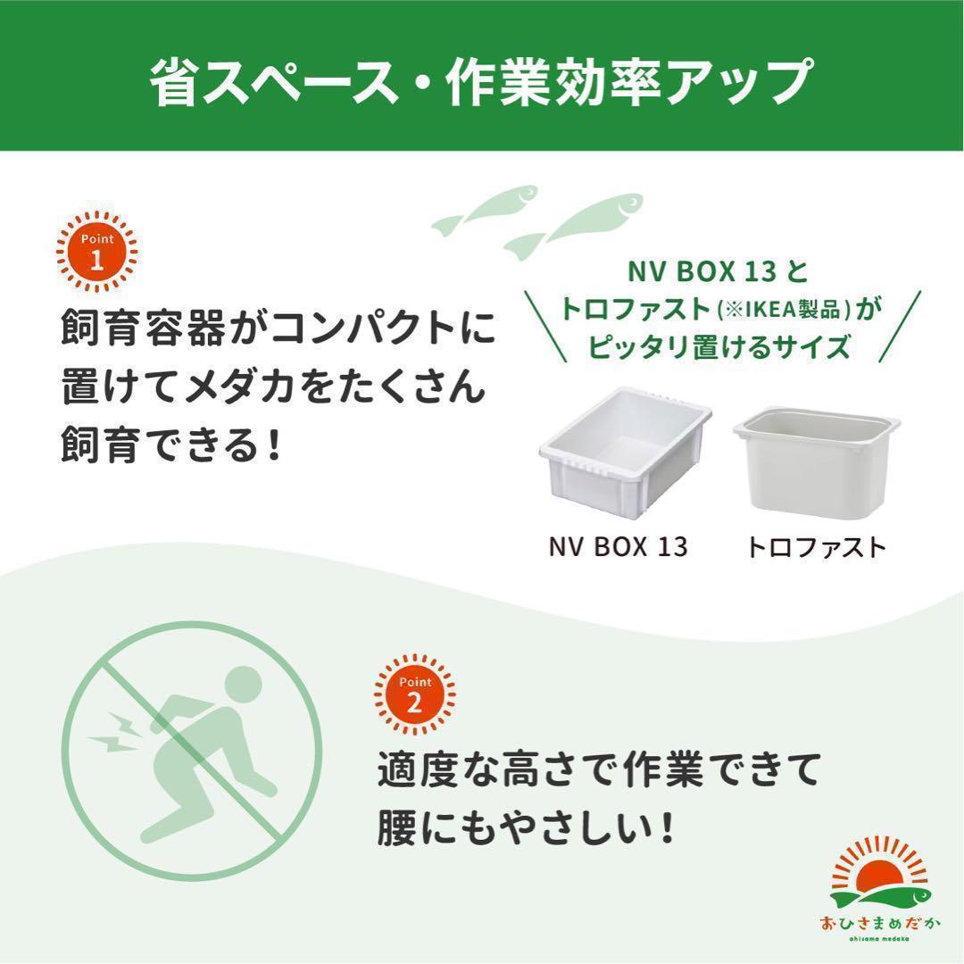 ★メダカ飼育ラック　黒1段8個置き★ めだか飼育棚 NVBOXビオトープsj