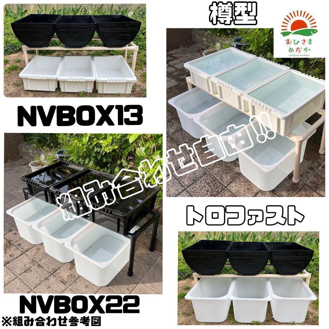 ★メダカ飼育ラック　黒1段8個置き★ めだか飼育棚 NVBOXビオトープsj