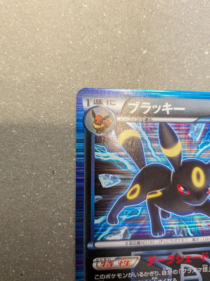 ポケモンカード ブラッキー プラズマ団 R BW8 ライデンナックル