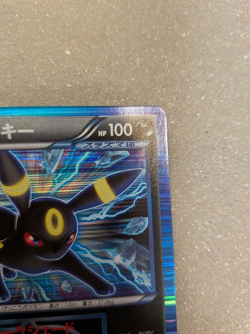 ポケモンカード ブラッキー プラズマ団 R BW8 ライデンナックル