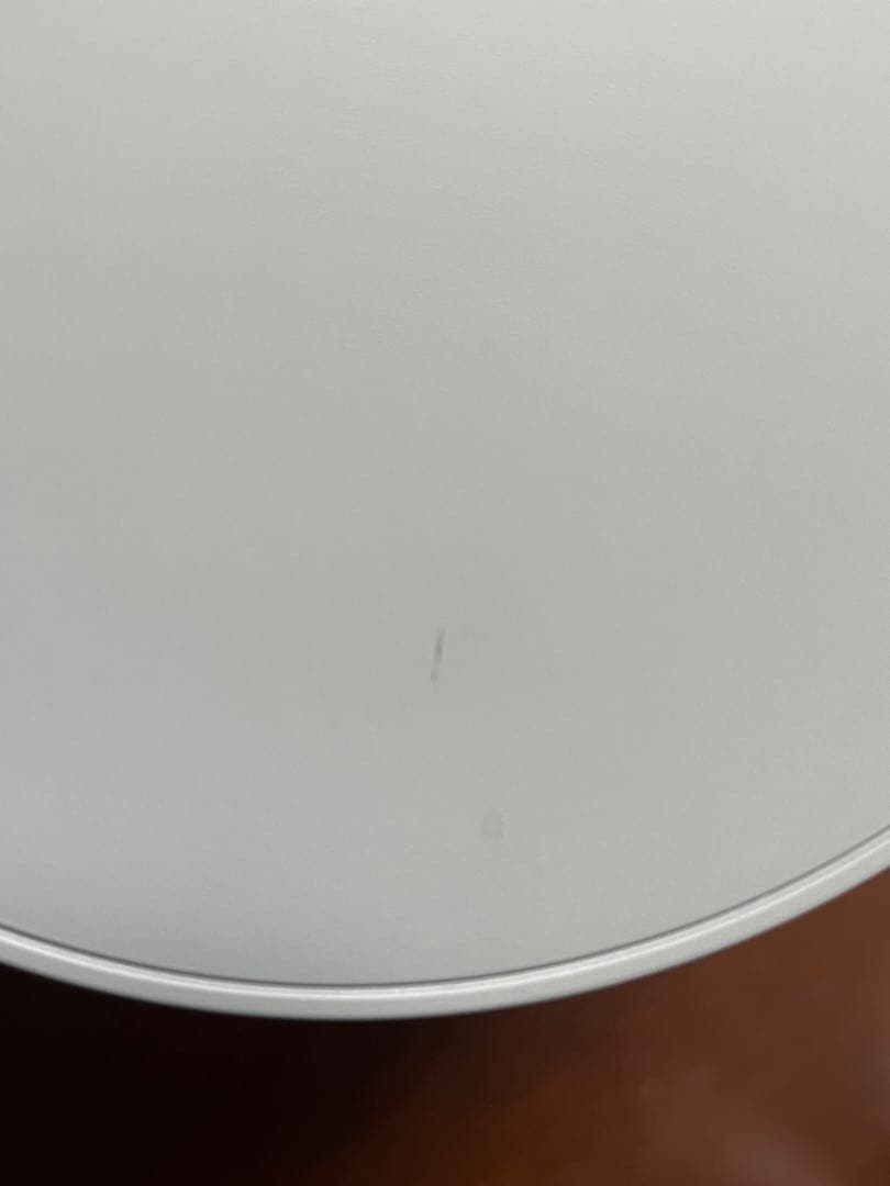 【最終価格】　SALONIA ピュアブライトスチーマー　SAL22207SL