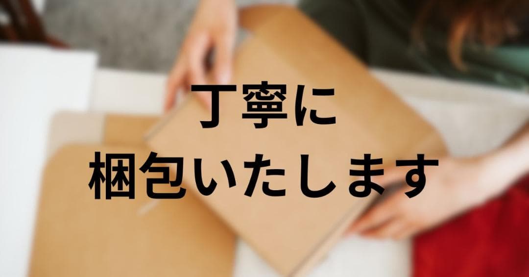 山善 YAMAZEN 防災士監修 一次避難用 災害対策 30点セット BBGrm