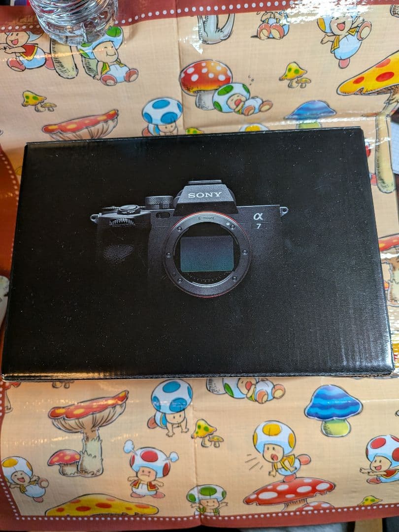 SONY α7IV（ILCE-7M4）【シャッター数14,916枚・防湿庫保管】