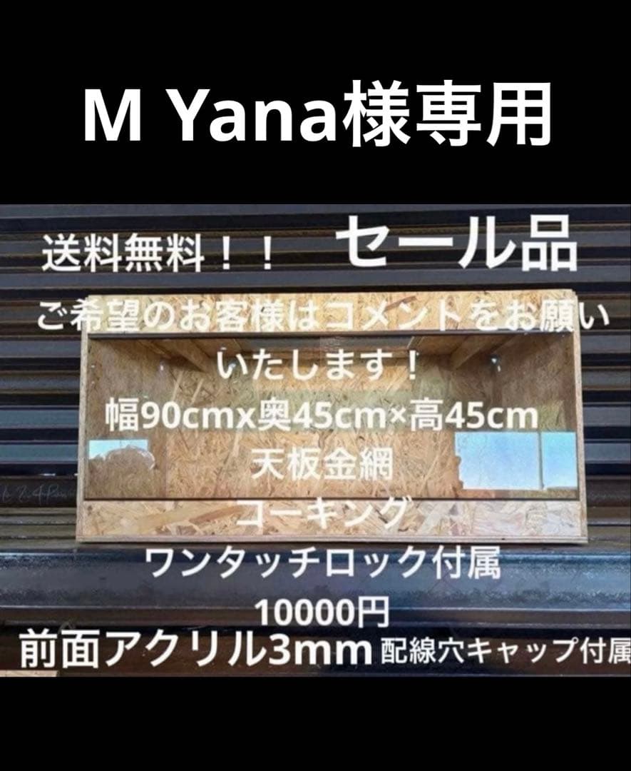 M Yana　904545